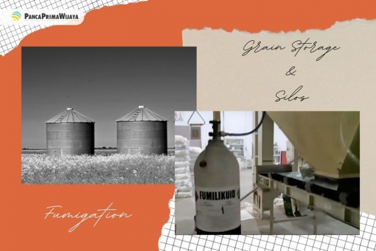 handling resistant grain pest, get rid of rice weevil, exterminate grain beetle, tobacco leaves lice, fumigation, sanitation grain food warehouse, keep grain storage of pest