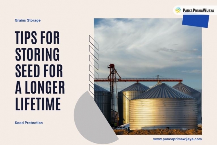 Best Practices for Long Term Seed Storage