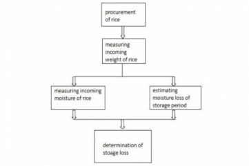 Standard Rice Procurement Procedure